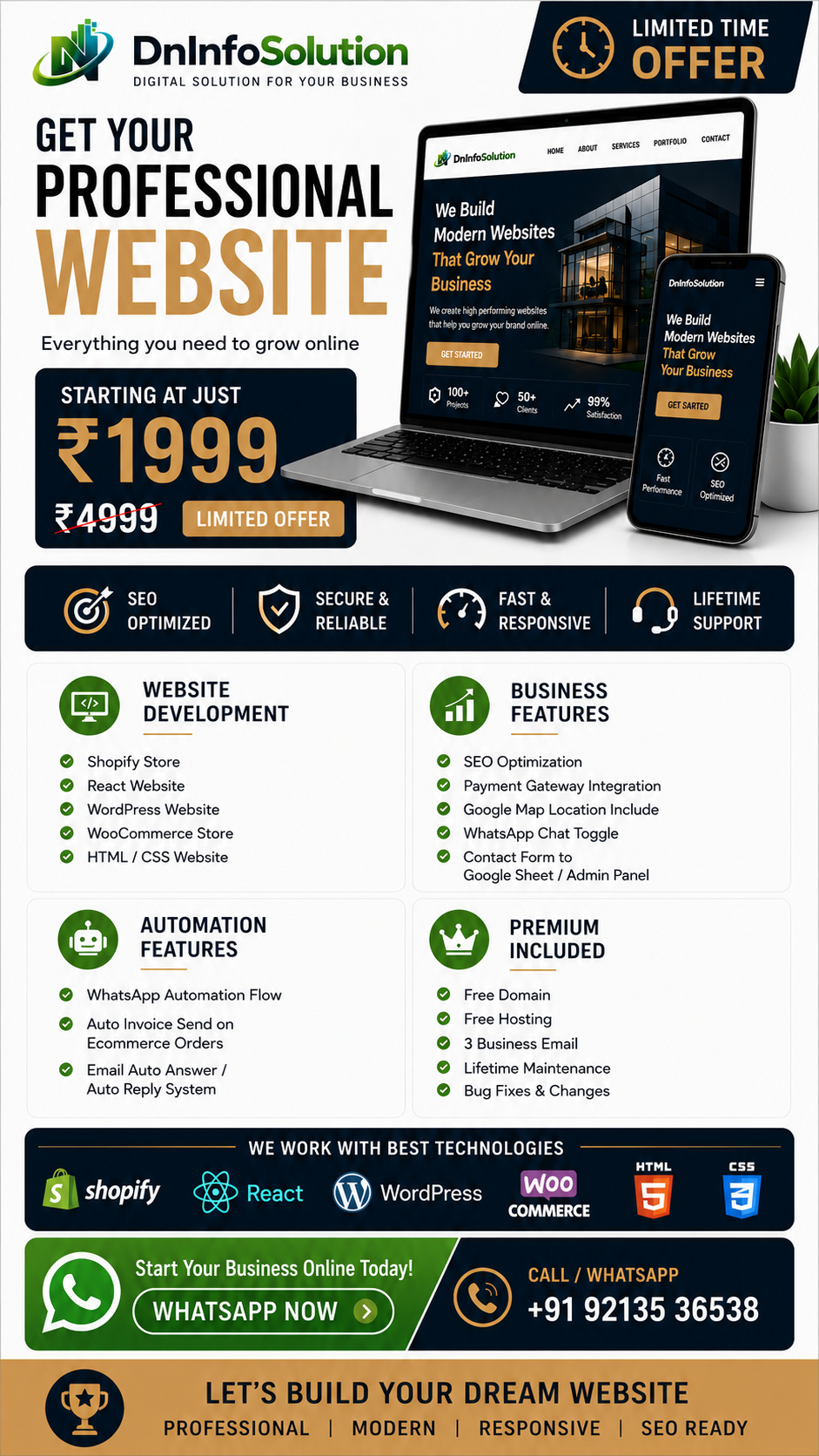 DNInfoSolution Professional Website Limited Offer