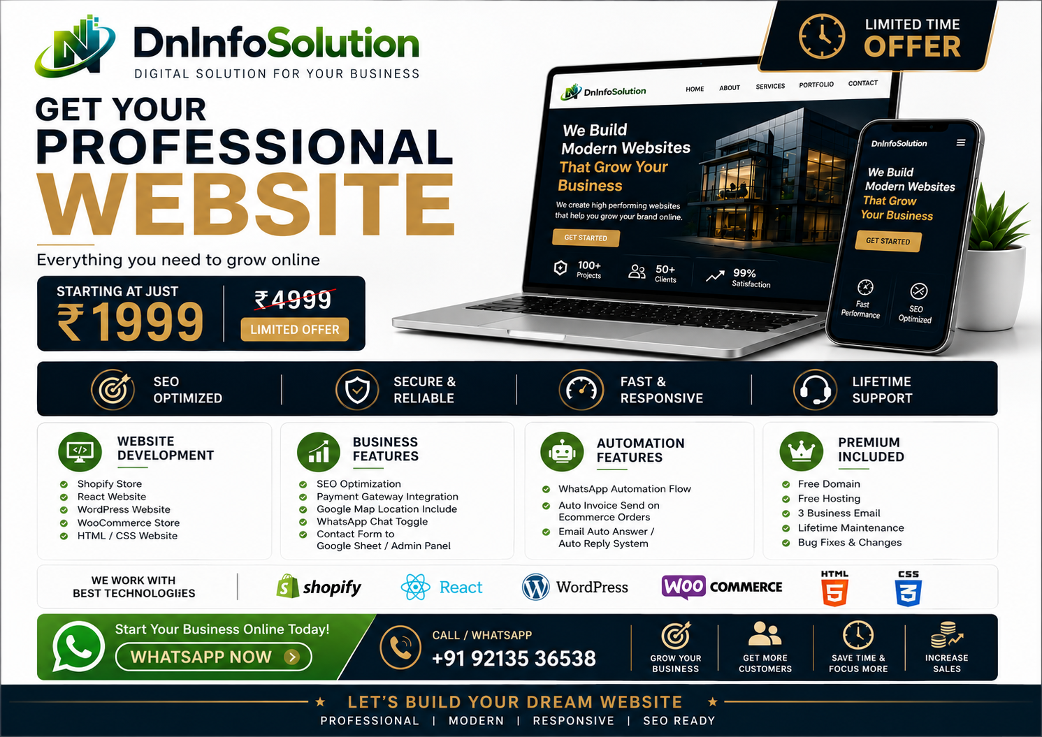 DNInfoSolution Professional Website Limited Offer